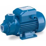 PEDROLLO PKm 60 recenze