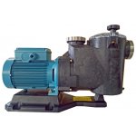 Calpeda MPCM 21/A 230V 0.55kW recenze