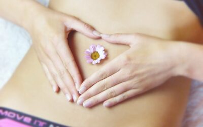 Výběr infralamp a jejich účinky