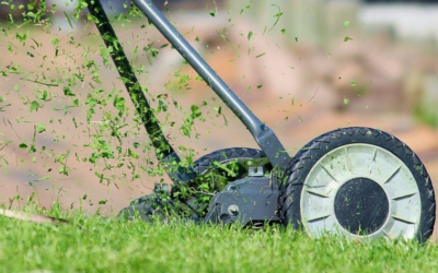 Jak docílit dokonalého trávníku? Za pomocí vertikutátoru je to hračka