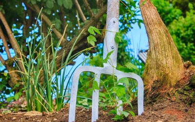 Jaro v zahradě: harmonogram zahradnických prací