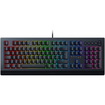 Razer Cynosa V2 RZ03-03400100-R3M1 recenze