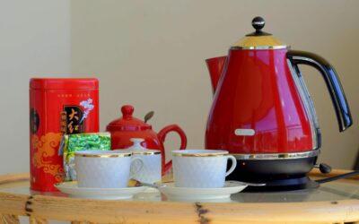 Žebříček nejoblíbenějších rychlovarných konvic