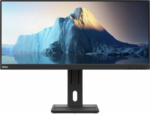 Lenovo E29w-20 recenze