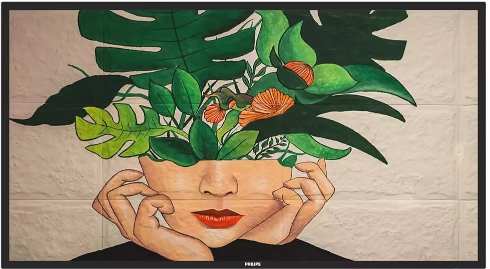 Philips 55BDL4511D recenze