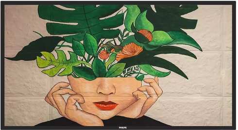 Philips 65BDL4511D recenze