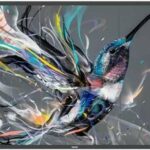 Philips 75BDL3511Q recenze