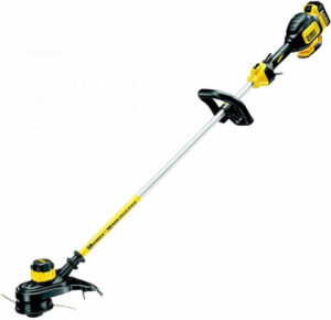 Fotografie DeWalt DCM561P1 recenzía