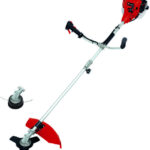 Einhell GC-BC 30/1 I AS recenze