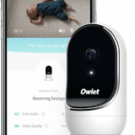 Owlet Cam recenze