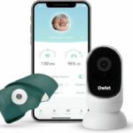 Owlet Smart Sock 3 Mořsky modrá recenze