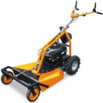 AS-MOTOR AS 63 4T B&S recenze