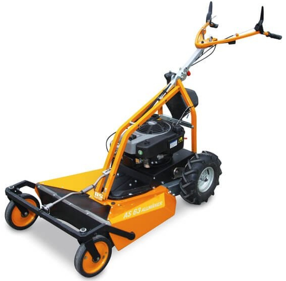 AS-MOTOR AS 63 4T B&S recenze