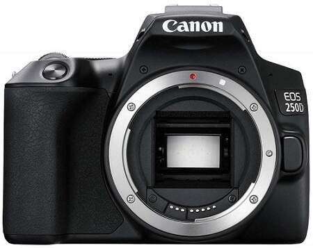 Canon EOS 250D recenze