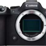 Canon EOS R6 Mark II recenze