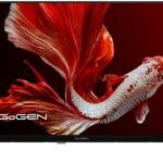 GoGEN TVH 32P359ST recenze