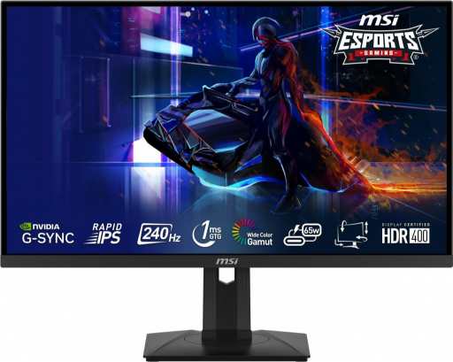 MSI G274QPX recenze