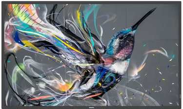 Philips 32BDL3650Q recenze