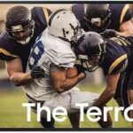 Samsung QE55LST7TG recenze