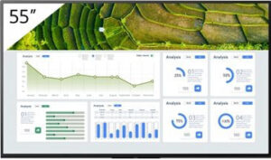 Fotografie Sony FW-55BZ30L  recenzía