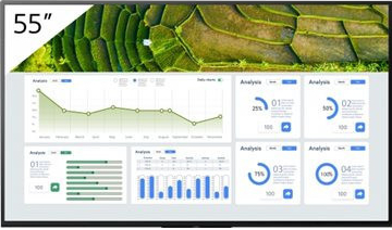 Sony FW-55BZ30L recenze