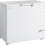 Tefcold FR305 recenze