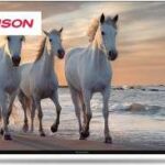 Thomson 50UA5S13 recenze