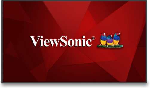 ViewSonic CDE6530 recenze