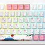 Akko MOD 007B HE PC Tokyo 06925758627733 recenze