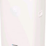 Blaupunkt MBS 0009 recenze