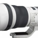 Canon EF 800mm f/5.6L IS USM recenze