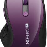 Canyon CNS-CMSW01P recenze