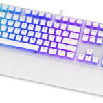 Endorfy Omnis OWH P. Kailh RD RGB EY5A036 recenze