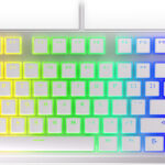 Endorfy Thock TKL OWH P.Kailh RD RGB EY5A009 recenze