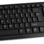 Esperanza Norfolk EK139 recenze