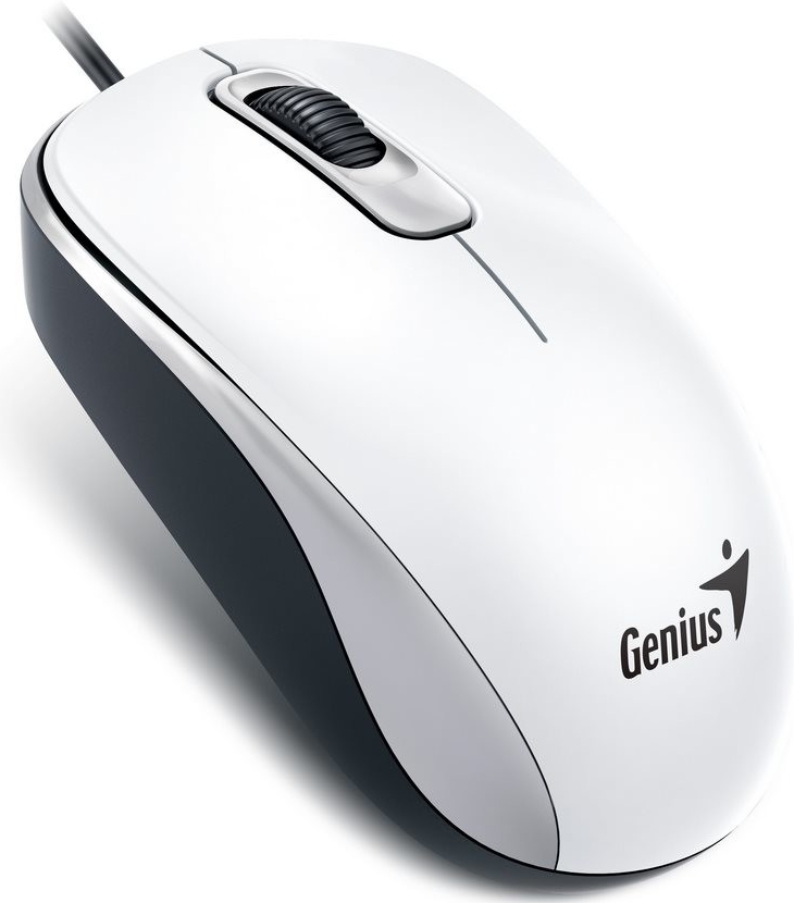 Genius DX-110 31010116109 recenze
