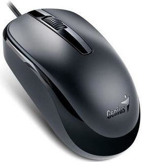 Genius DX-120 31010105100 recenze