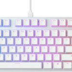Glorious GMMK TKL White Ice Edition GLO-GMMK-TKL-BRN-W recenze