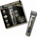 Jean Louis David 39961 digital recenze