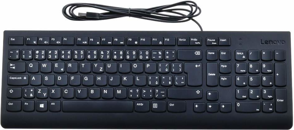 Lenovo 300 USB Keyboard GX30M39663 recenze