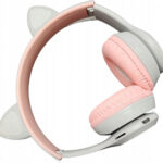 Leventi P47M recenze