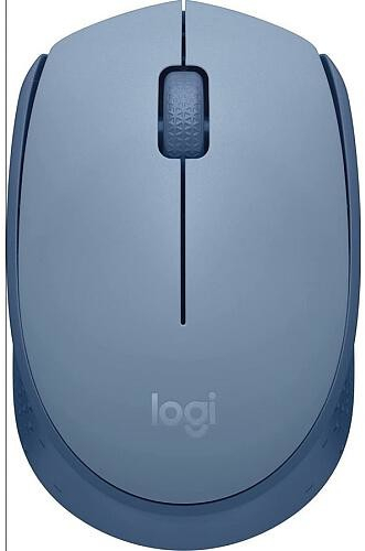 Logitech M171 Wireless Mouse 910-006866 recenze