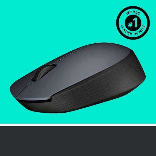 Logitech Wireless Mouse M170 910-004642 recenze