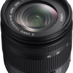 Panasonic 14-45mm f/3.5-5.6 MEGA OIS aspherical IF recenze