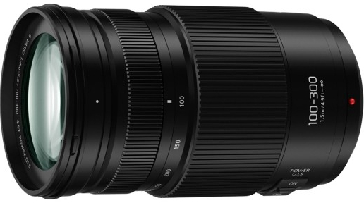 Panasonic Lumix G 100-300mm f/4-5.6 POWER OIS recenze