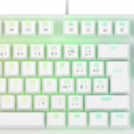 Rapture X-RAY Outemu Blue RPT-GMKFX11W recenze