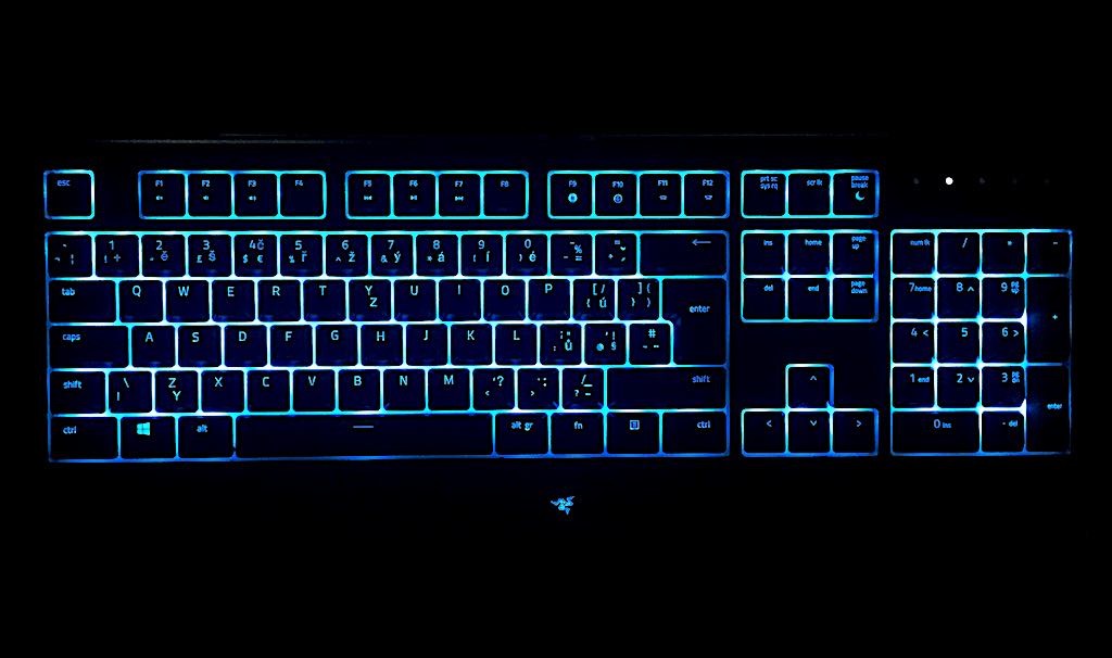 Razer Cynosa V2 CZ RZ03-03400300-R3W1 recenze