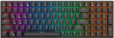 Royal Kludge RK100 RGB Brown switch black recenze