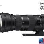 SIGMA 150-600mm f/5-6.3 DG OS HSM SPORTS Nikon recenze