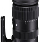 SIGMA 60-600mm f/4.5-6.3 DG OS HSM (S) Canon recenze